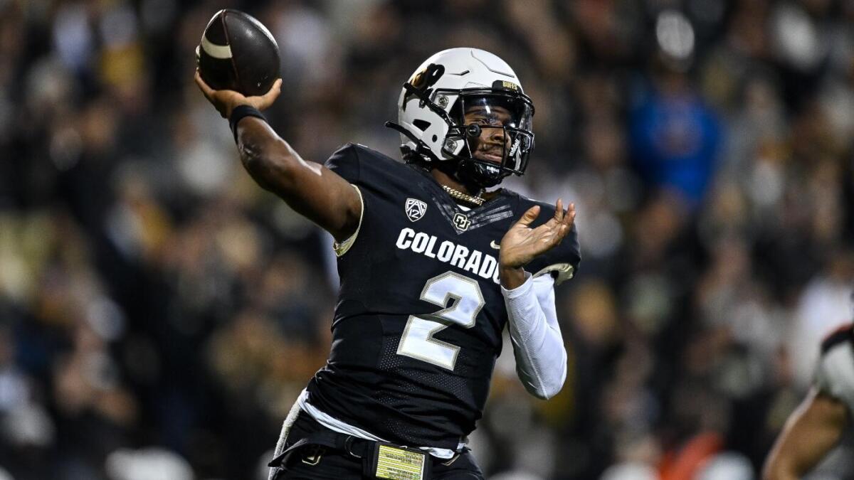 NFL Draft 2025: Questionable Picks for Each Team Analyzed