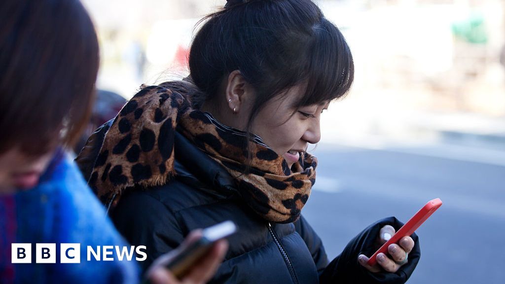 Australian Election: Parties Court Chinese-Australian Voters on Social Media