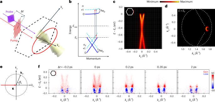 Observation of Floquet-Bloch States Achieved in Monolayer Graphene