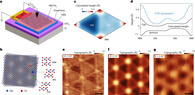 Probing Topology in Twisted MoTe2: Microscopic Signatures via Layer-Pseudospin Skyrmion Textures