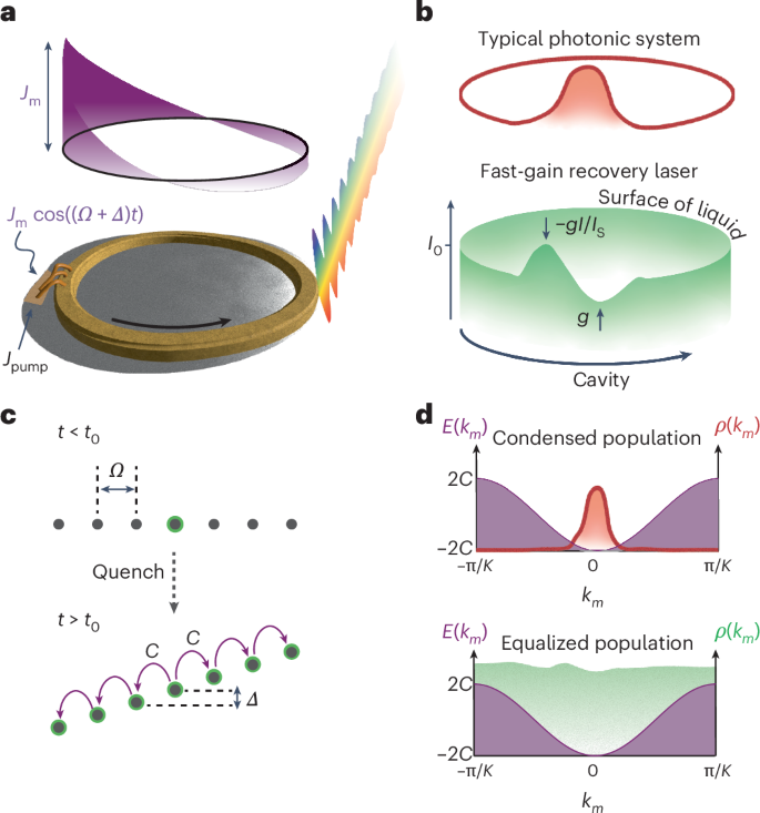 Active Photonic Lattices in Synthetic Dimensions Exhibit Coherent Quench Dynamics