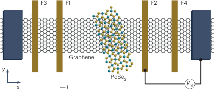 Graphene-PdSe2 Heterostructure Enables Tunable Spin-Orbit Coupling and Enhanced Spin Lifetime