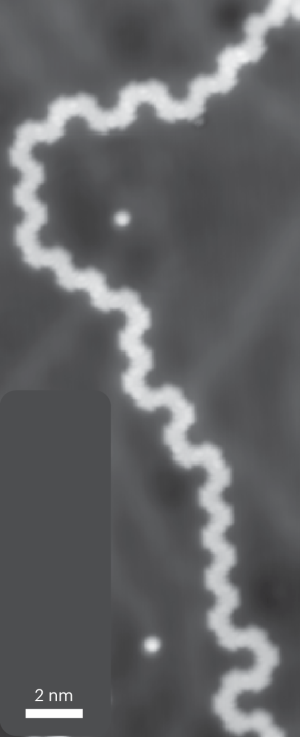 Advancements in One-Dimensional Magnetism: New Materials and Quantum Spin Insights