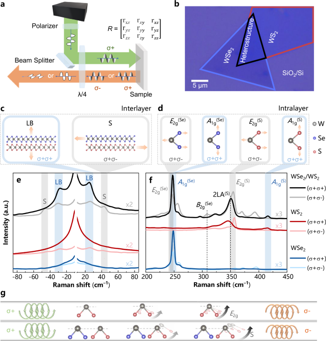 Quantum Material Breakthrough: Twist Angles Enable Engineering of Phonon Properties for Quantum Tech
