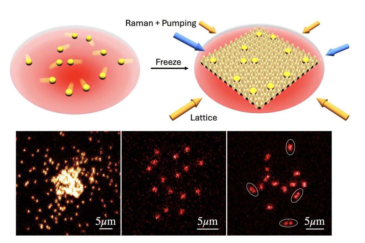 MIT Physicists Capture First Images of Interacting Free-Range Atoms, Visualizing Quantum Phenomena