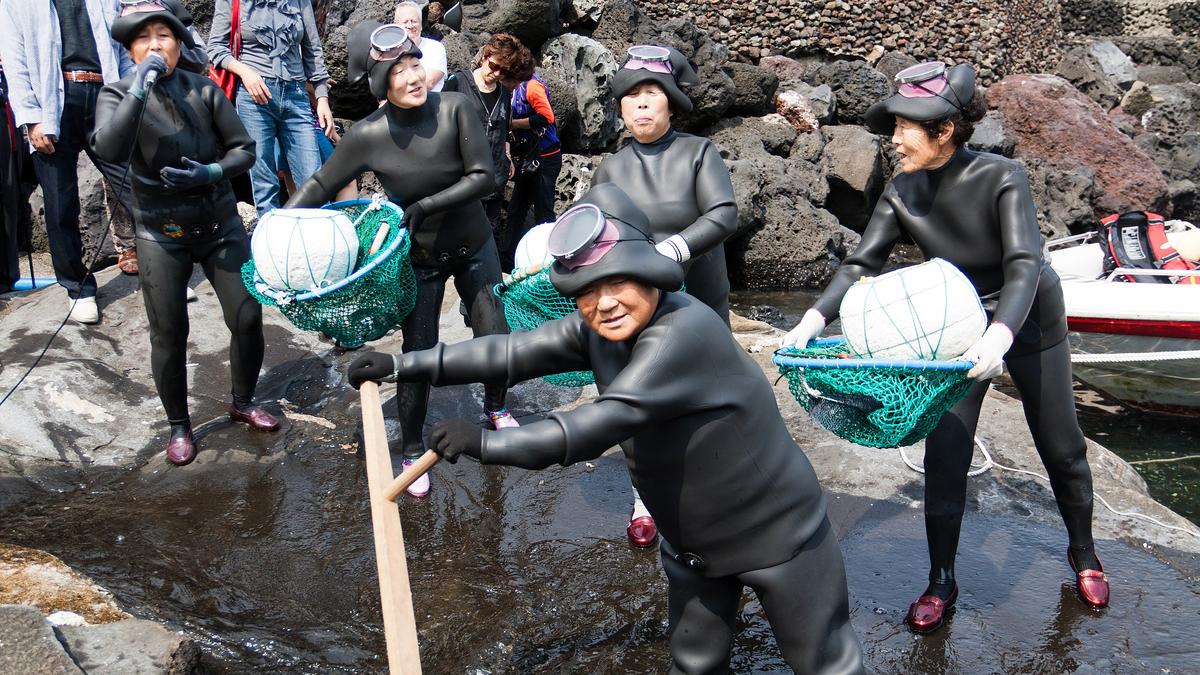 Jeju 'Sea Women' Show Genetic Adaptations to Diving, Cold Tolerance: Study