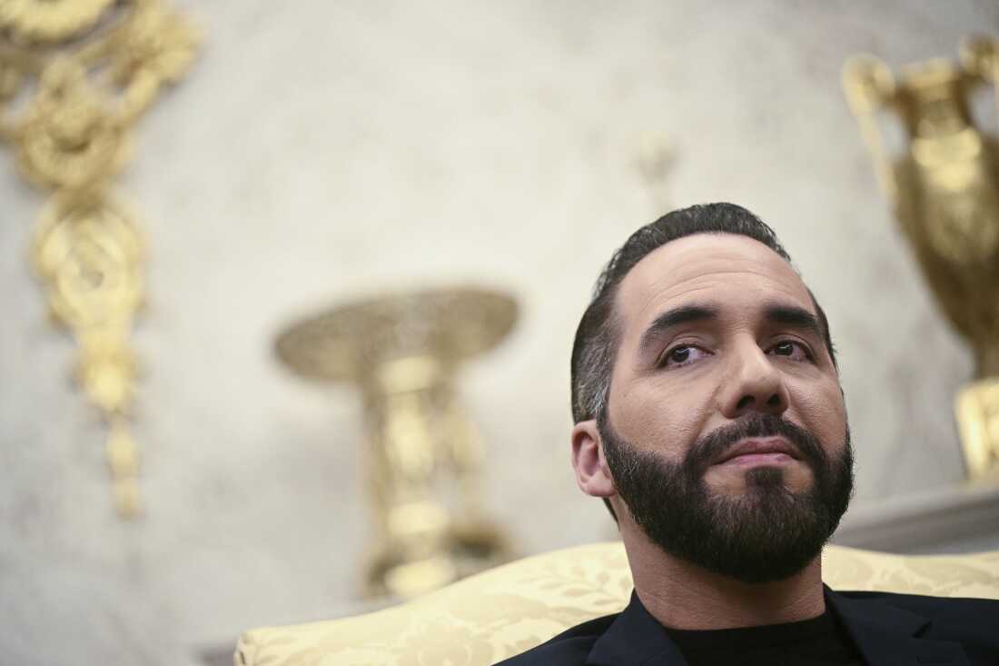 El Salvador President Bukele Orders Arrest of Bus Company Heads Over Free Fare Defiance