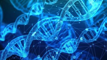 FDA Approves Trial for Novel Gene Therapy Targeting Hereditary Spastic Paraplegia