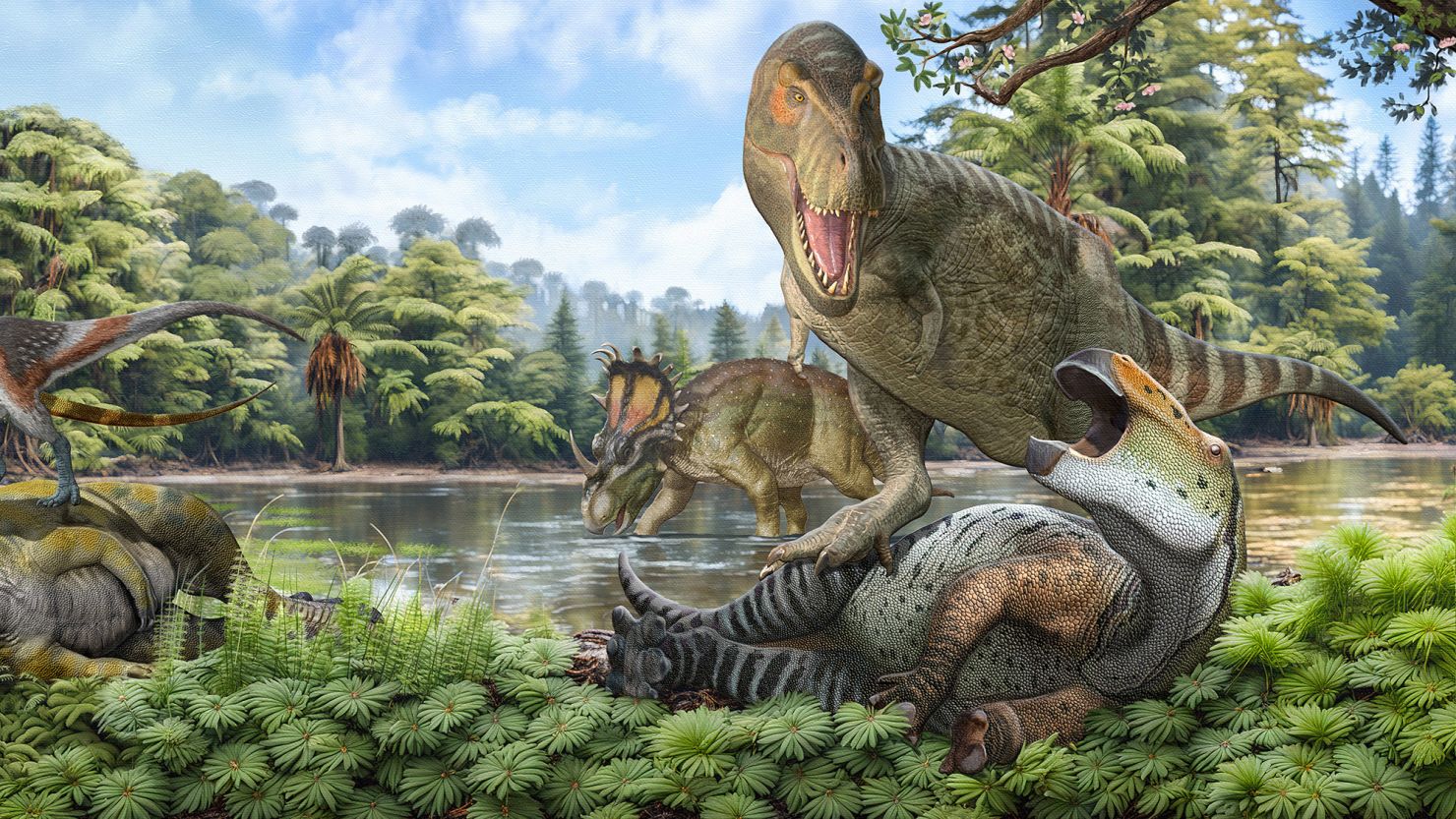 T. rex Ancestors Migrated from Asia to North America via Land Bridge