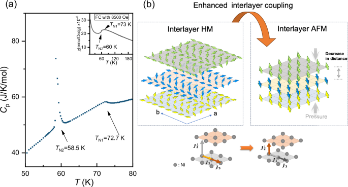 Pressure Transforms NiI2 Magnetism: From Helimagnetic to Antiferromagnetic State