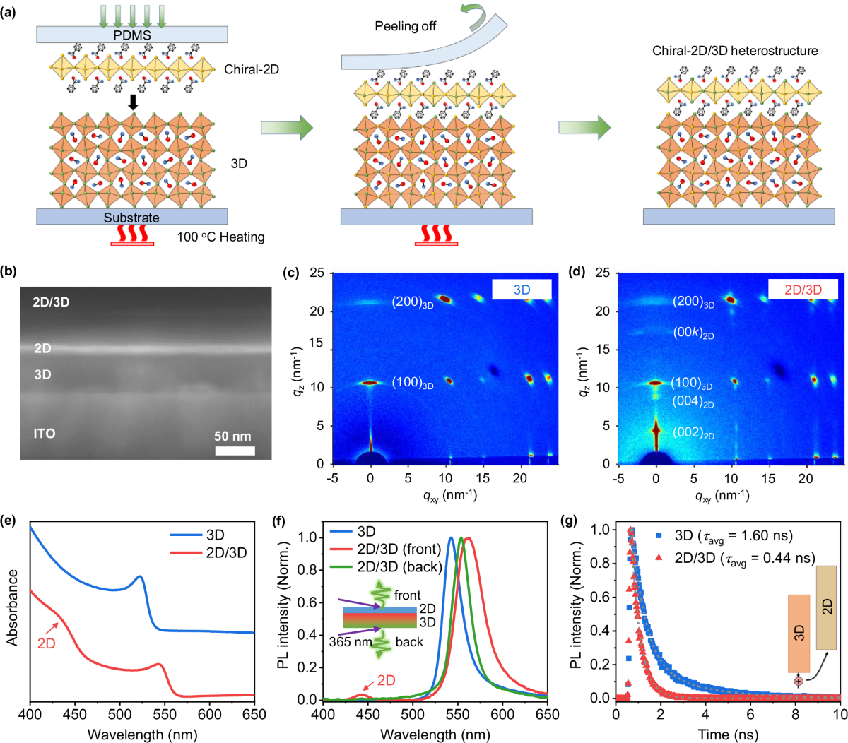Novel Spin Detector Achieves Panchromatic Circularly Polarized Light Detection
