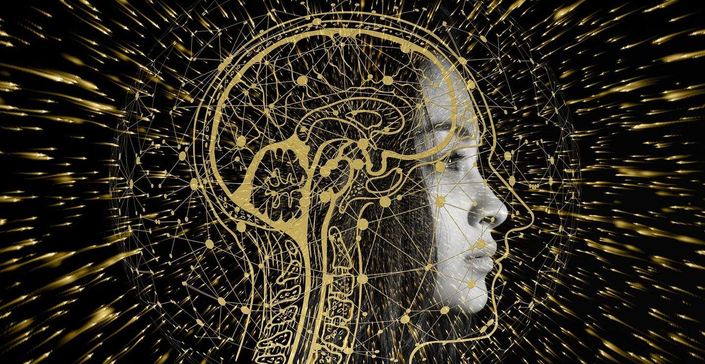 Quantum Computing Discovery: Brain Cells May Use Quantum Networks for Information Processing