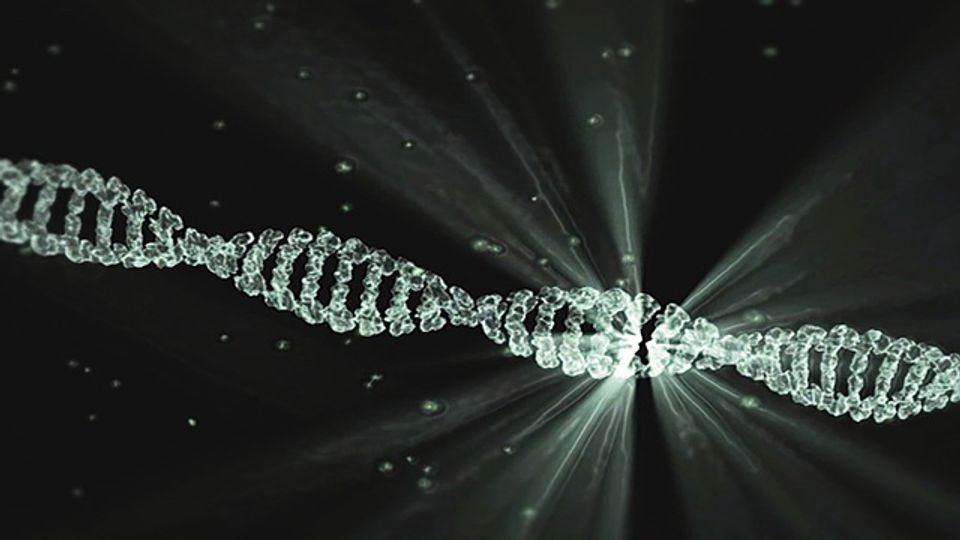 Jumping Genes: How LINE-1 Retrotransposons Invade Cells, Driving Evolution and Disease