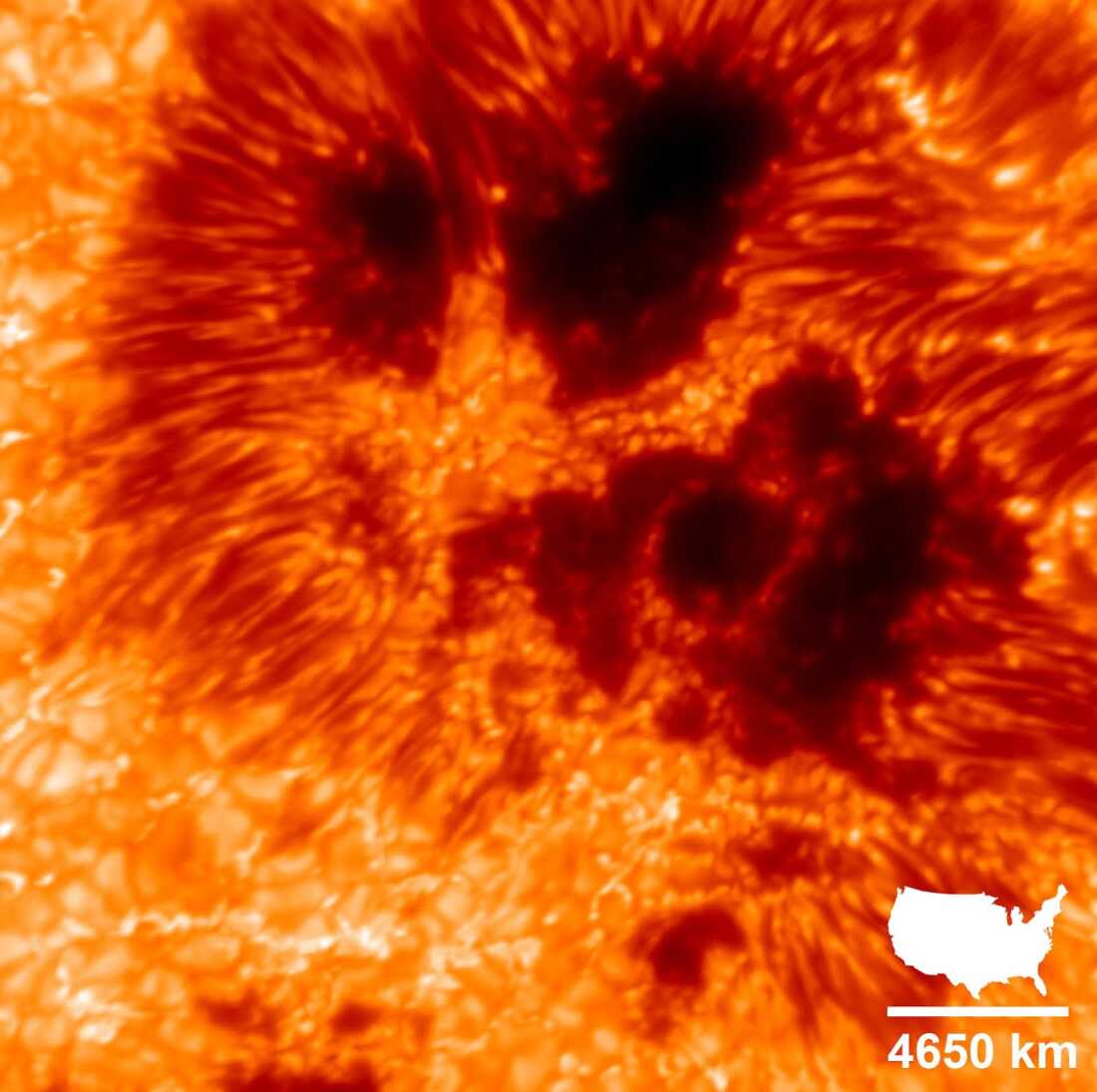 Inouye Solar Telescope Captures Detailed Sunspot Image, Aiding Solar Storm Prediction