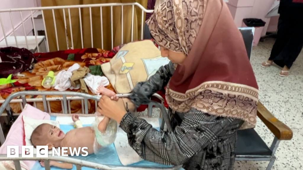 Gaza Faces Catastrophic Humanitarian Crisis: Blockade Leads to Starvation and Aid Restrictions