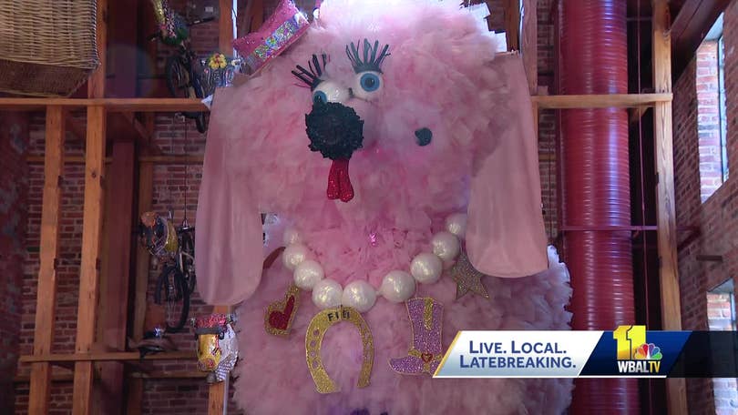 Baltimore Celebrates 25th Kinetic Sculpture Race: Wacky Art, Community, and Engineering