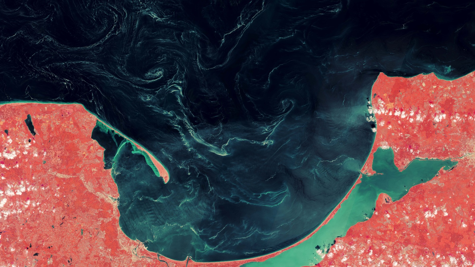 Baltic Sea's Mysterious Swirls Identified as Tree Pollen After Years of Uncertainty