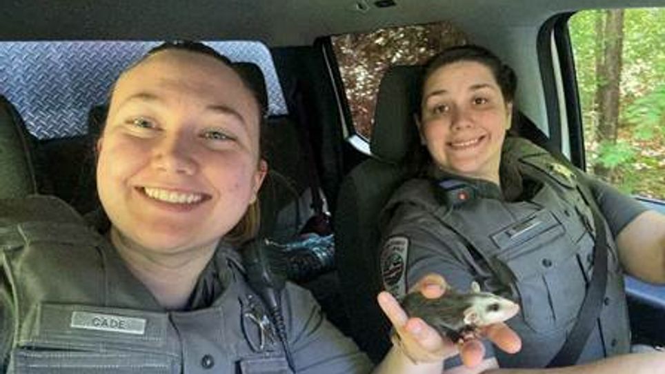 Chatham County Officers Rescue Baby Opossum Trapped in Pond Netting