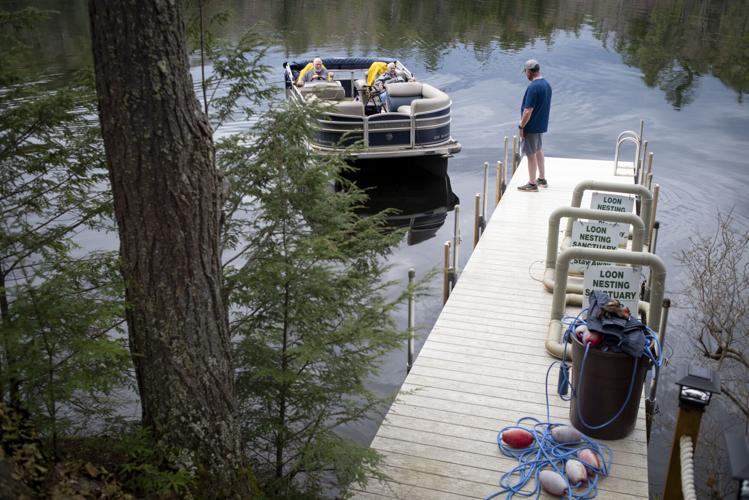 Manmade Nests Aid Loon Population Growth on New Hampshire Lakes