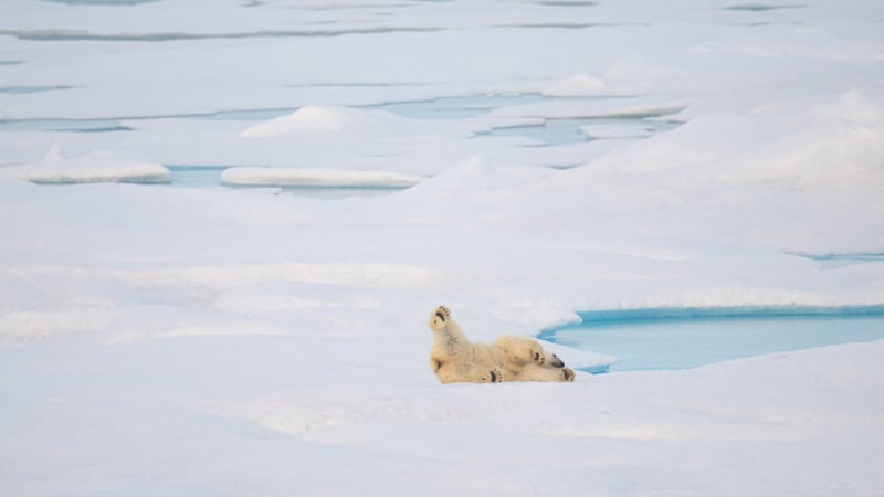Trump Administration Cuts NOAA Data Service Monitoring Arctic Sea Ice, Sparking Alarm