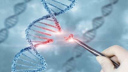 Opus Genetics' OPGx-LCA5 Shows Promising Results, Receives FDA RMAT Designation