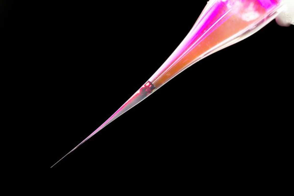 Micropipette Precisely Controls Brain Ion Signals, Enabling New Neuroscience Research