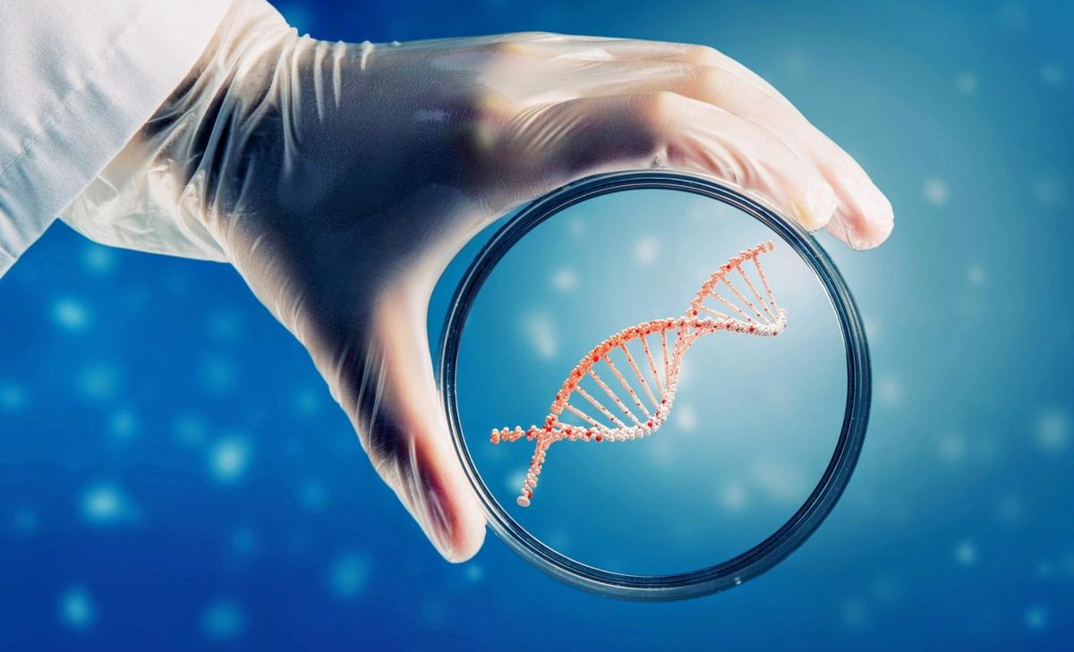 New 'Body Clock' Tool Predicts Longevity and Organ Function with High Accuracy