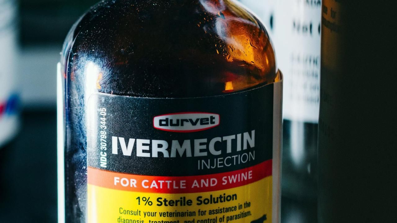 North Carolina House Advances Ivermectin Access Act Amid Safety and Efficacy Concerns