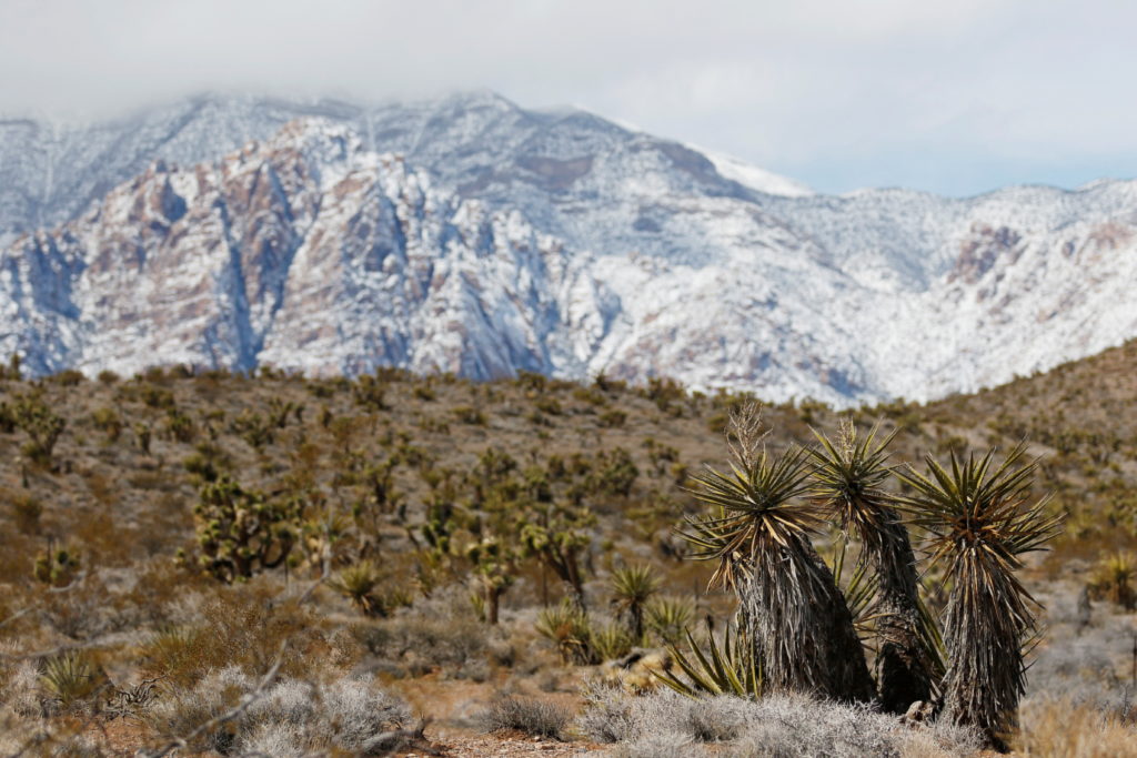 House Republicans Approve Amendment Authorizing Sale of Federal Lands in West