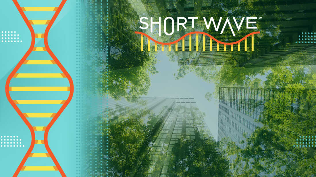 AI's Energy Demands Spark Innovative Solutions for Data Center Power Management