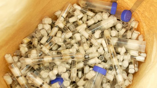 Kenyan Expert Warns of Ecological Disaster Due to Insect Trafficking