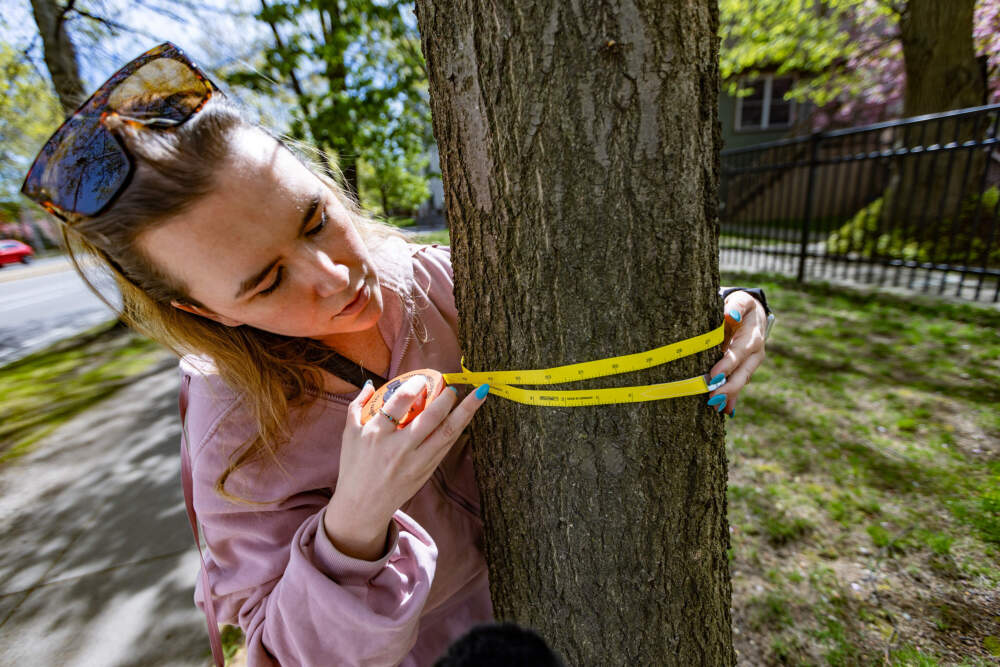Trump's Policies Cast Shadow Over Environmental Science Grads' Job Prospects in Mass.