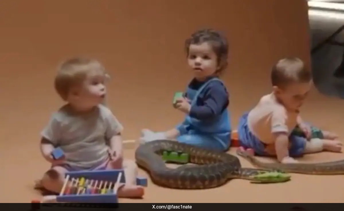 Babies Show Curiosity, Not Fear, Towards Snakes in Recent Studies