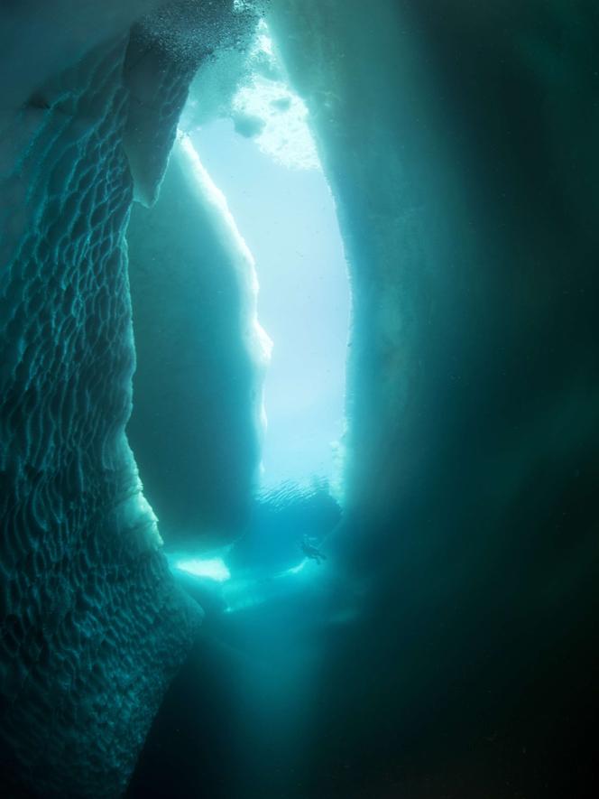 Sea Ice Loss Causes Dramatic Color Change in Arctic and Antarctic Oceans