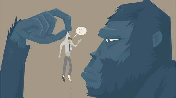Viral Gorilla Debate: Jon Jones' Combat Strategy vs. Robert Irwin's Conservation Plea