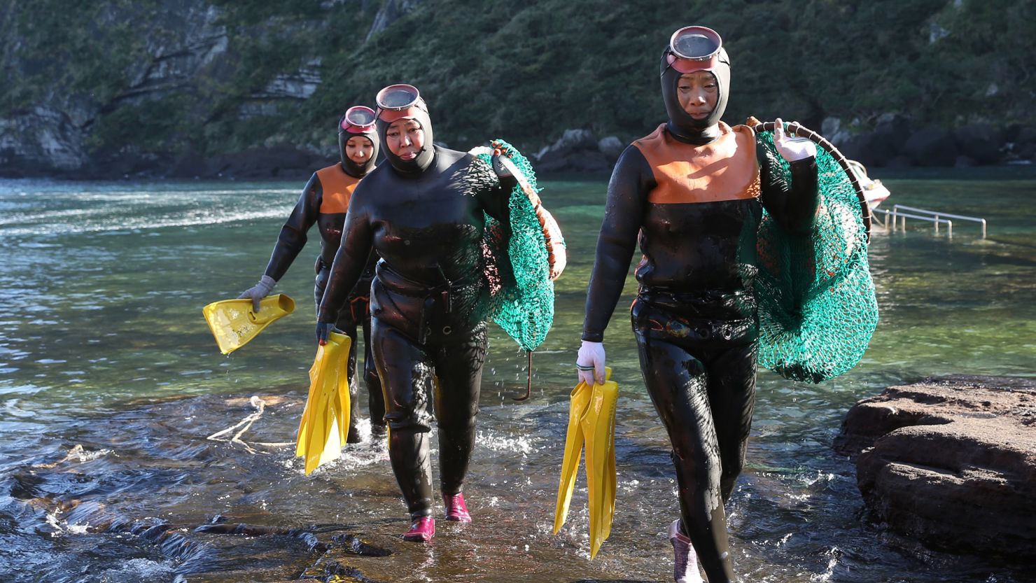 Korean Sea Women's Genetic Adaptations Offer Insights into Blood Pressure and Diving