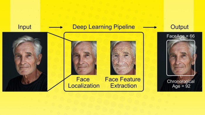 AI Tool Predicts Biological Age from Facial Photos, Aiding Cancer Treatment Decisions