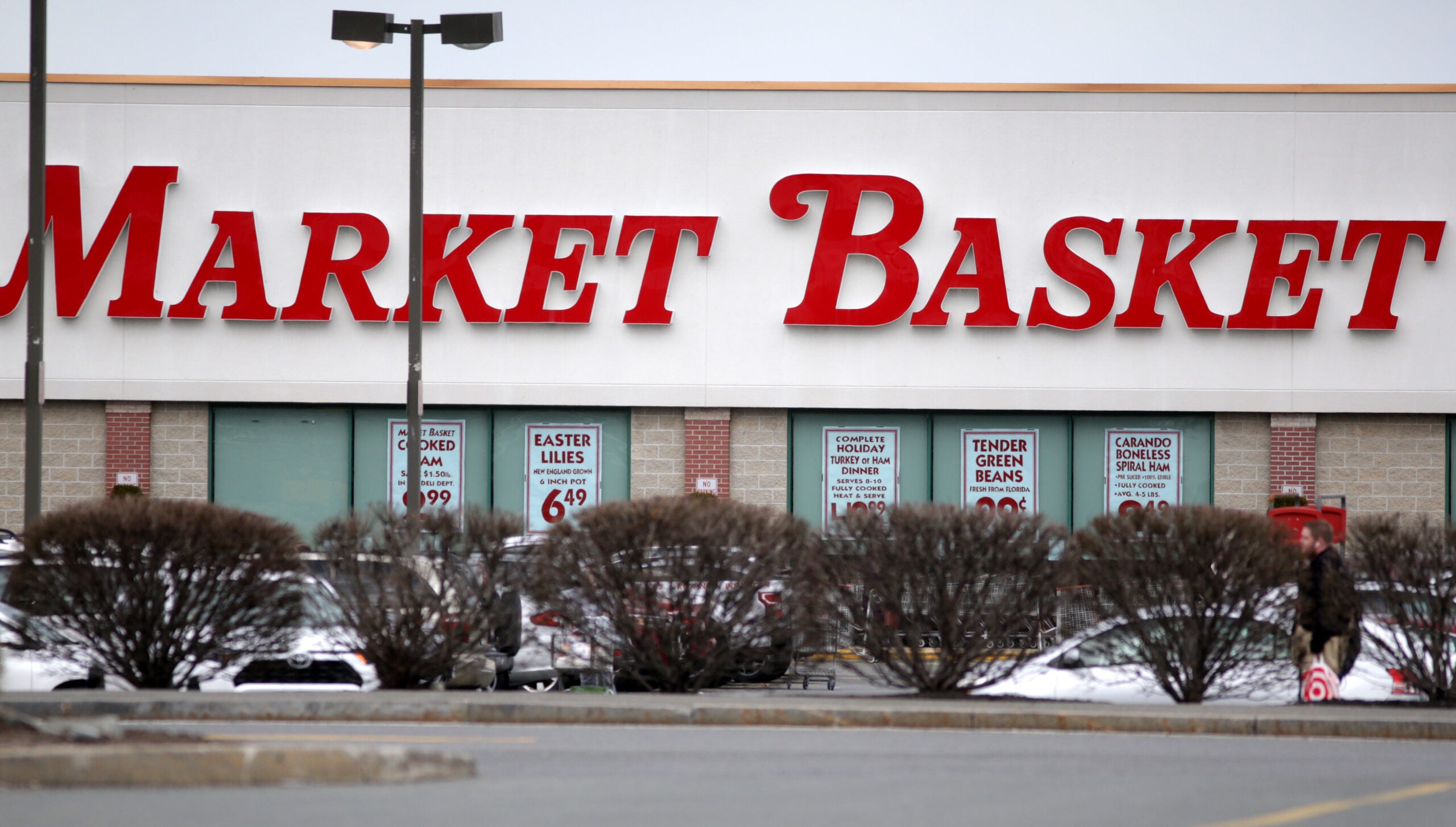Search On for Possible Rabid Raccoon After Portsmouth Attacks