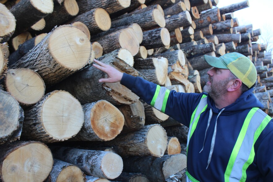 Vermont Logging: Balancing Climate Concerns with Local Industry and Sustainable Practices