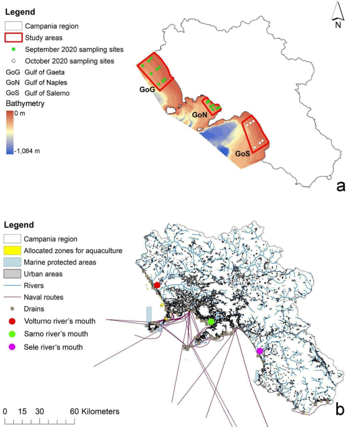GIS Analysis Reveals Varying Environmental Status in Campania Coastal Areas, Italy